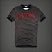 Abercrombie&Fitch メンズ 半袖Tシャツ Hunters Pass Dark Grey a1-se1-ts-3295-darkgrey