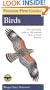 Peterson First Guide to Birds of North America (Peterson First Guide (R))