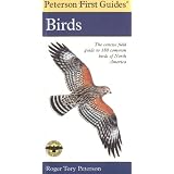 Peterson First Guide to Birds of North America (Peterson First Guide (R)) ~ Roger Tory Peterson