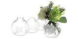 416lUCL3ClL. SL160  Twos Company Be Seated Bud Vases/Place Card Holder in Gift Box, Hand Blown Glass, Set of 4