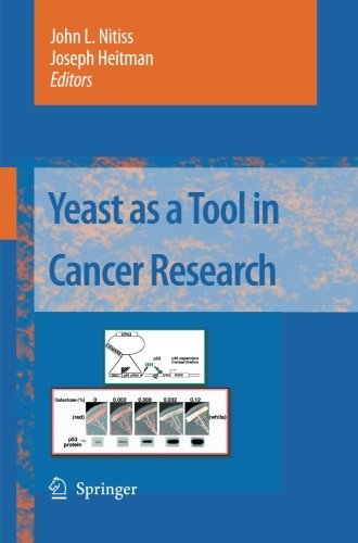 Yeast as a Tool in Cancer Research
