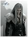 Square-Enix - Final Fantasy VII wallscroll Sephiroth 103 x 73 cm