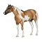 Find the Best Breyer Horses