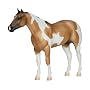 Banjo - Buckskin Paint�