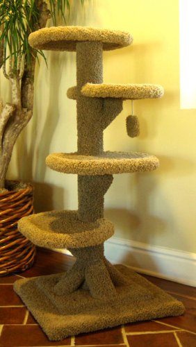 48 Kitty Cat Twisty Tower