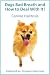 Dogs Bad Breath and How to Deal With It [Canine Halitosis]