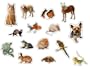 Pets Photographic Stickers