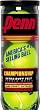 Penn Championship Extra Duty Tennis Balls (Cans)