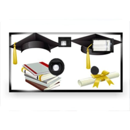 Graduation Prom Disposable Camera Case Pack 20