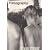 Bruce Weber Filmography