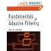 Fundamentals of Adaptive Filtering