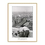 ポスター アンリ カルティエ ブレッソン View from the Towers of Notre Dame 額装済 ウッドベーシックフレーム（グリーン）