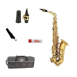 dent \/ Intermediate Alto Saxophone with Case a