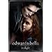 Twilight Poster Print, 24x36 Poster Print, 24x36