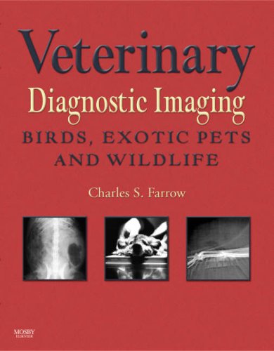 Diagnostic-Imaging