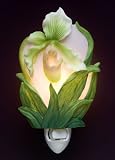 Flowers of Light Night Lights Lady Slipper Orchid Ibis & Orchid Design