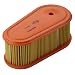 Briggs and Stratton Genuine 795066 Air Cleaner Filter