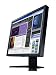 Eizo Nanao L788-K 19 Zoll TFT LCD-Monitor analog/digital DVI-I (Kontrast 1000:1, 25ms Reaktionszeit) schwarz/anthrazit