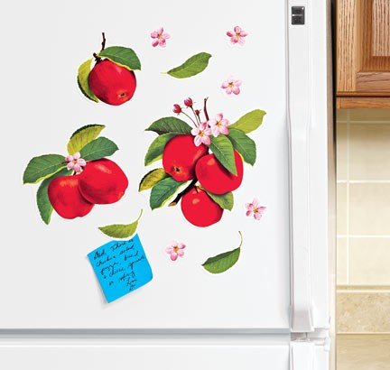 Apple Refrigerator Magnet