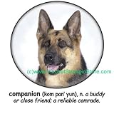 German Shepherd Companion Adult T Shirt