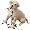 Labrador Retriever (Yellow)