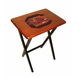 South Carolina Fighting Gamecocks Tailgate Dinner TV Tray Table NCAA College Athletics Fan Shop... by 