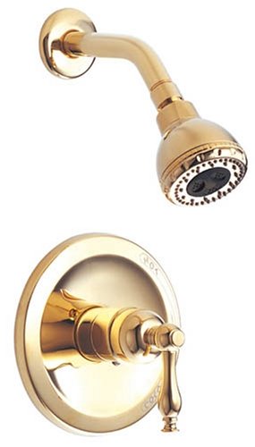 Danze D500555PBV Sheridan Single-Handle Polished Brass