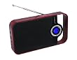 Sunstech RPDS250RD - Radio port�til digital, USB, lector tarjetas, color rojo