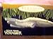 U.S.S. Voyager - Star Trek Keepsake Ornament - 1996