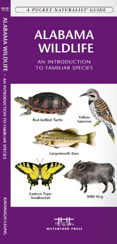 Alabama Wildlife: An Introduction to Familiar Species (A Pocket Naturalist® Guide)