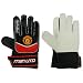 Team Goalkeeper Gloves Junior