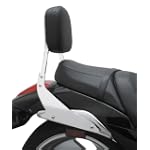Cobra Standard Sissy Bar 02-5165