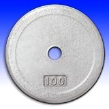 STANDARD SIZE CHIP RESISTANT GRAY PLATE, 100 LBS