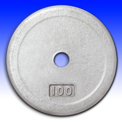 STANDARD SIZE CHIP RESISTANT GRAY PLATE, 100 LBS
