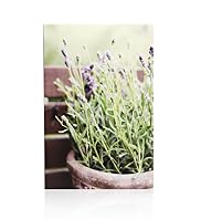 Lavender Outdoor Wall Art