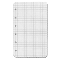 Landre Ringbucheinlagen 74x127mm 60g/qm kariert VE=50 Blatt