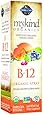 Garden of Life mykind Organics Organic B-12 Spray, 2oz Spray