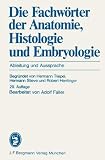 Die Fachw&ouml;rter der Anatomie, Histologie und Embryologie - Ableitung und Aussprache - Hermann Triepel, Hermann Stieve, Robert. Herrlinger