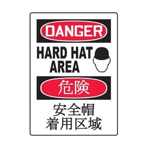 DANGER HARD HAT AREA (W/GRAPHIC) Sign - Plastic