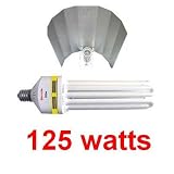 Ecolite - Kit generik 125 Watts floraison