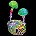 Groovy Shrooms Electra