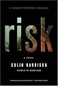 Risk: A Novel