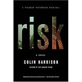 Risk: A Novel