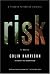 Risk: A Novel