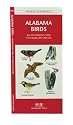 Alabama Birds: An Introduction to Familiar Species (A Pocket Naturalist Guide)
