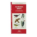 Alabama Birds (Pocket Naturalist - Waterford Press) book cover