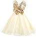 Shiny Toddler Sequins Laryered Flower Girl Birthday Party Tutu Dress