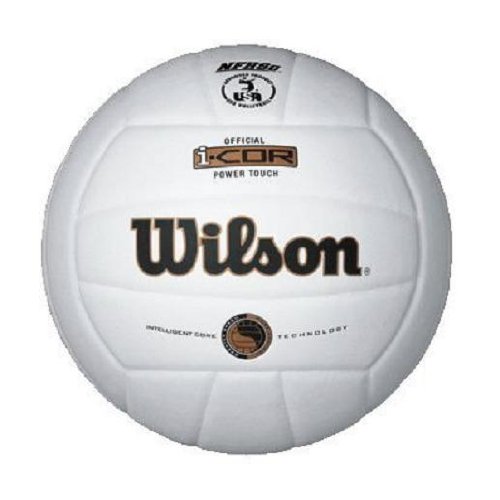 Wilson I COR Power Touch Indoor Volleyball (White)