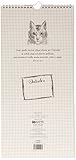 Image de Io gatto. Calendario 2016