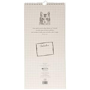 Io gatto. Calendario 2016